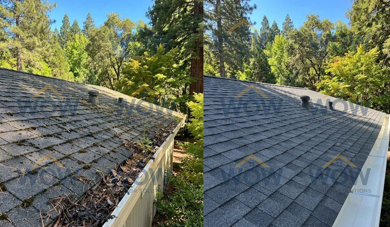 Gutter Cleaning 6